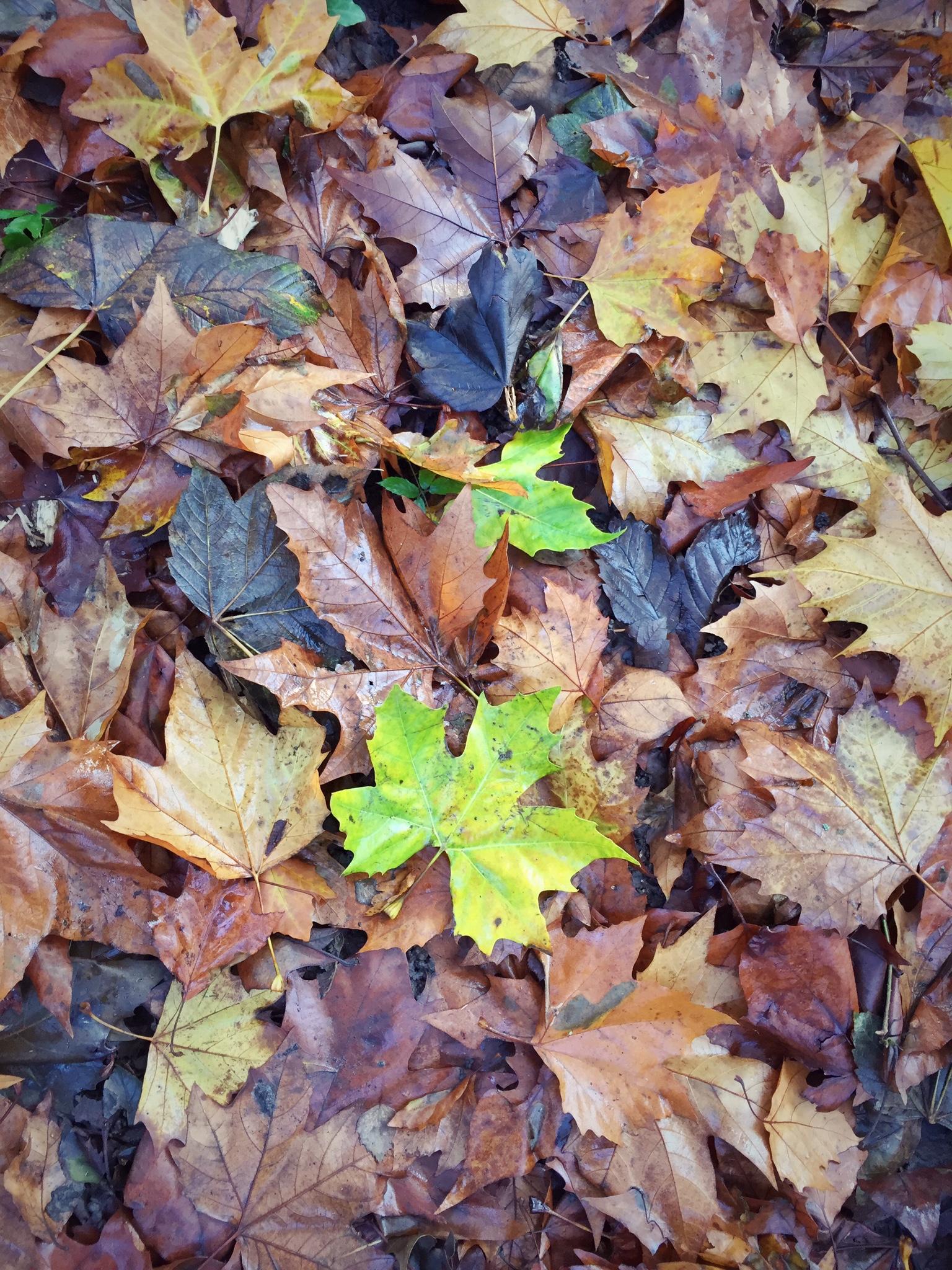 28-things-learned-in-28-years