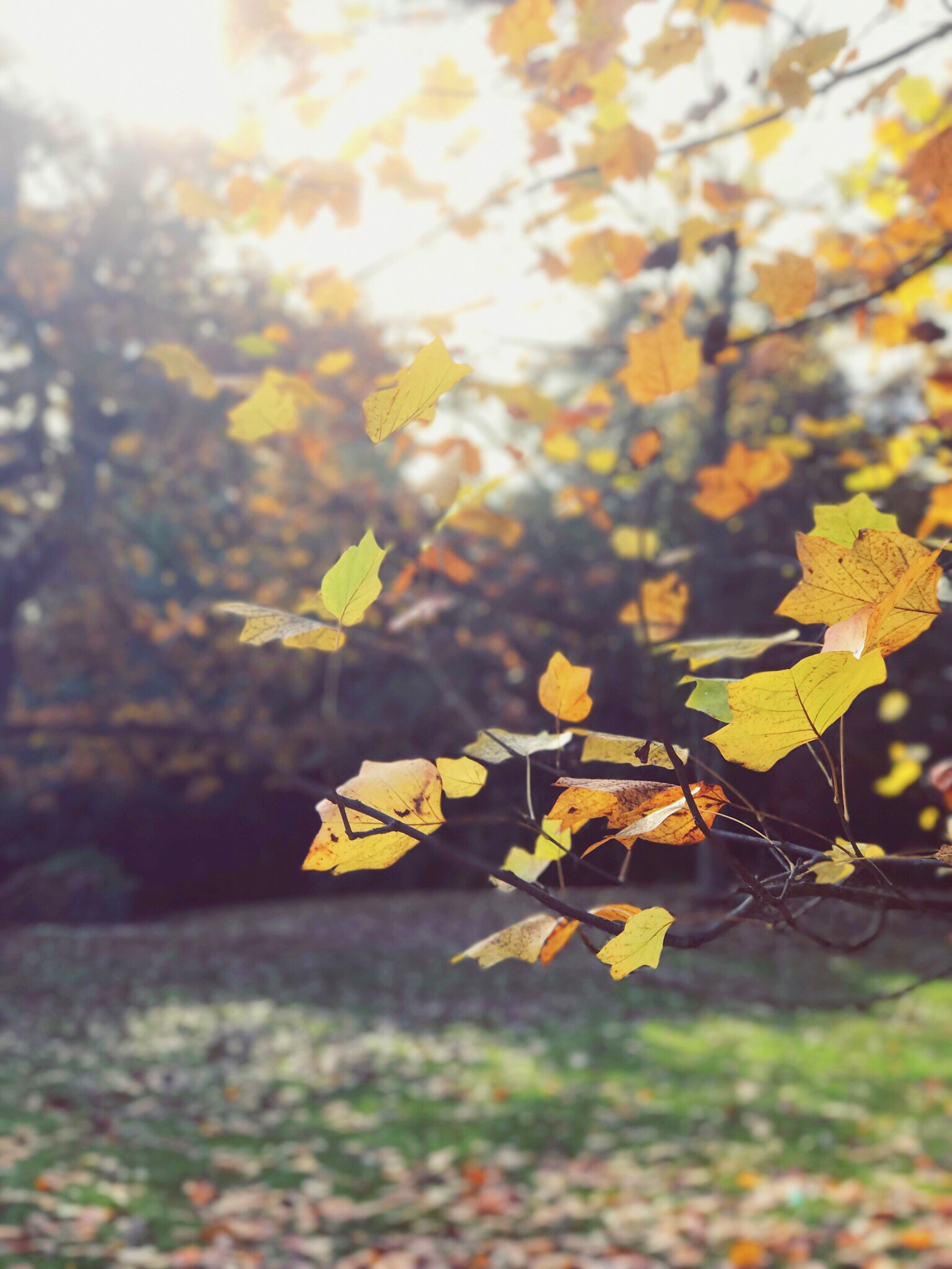 28-things-learned-in-28-years