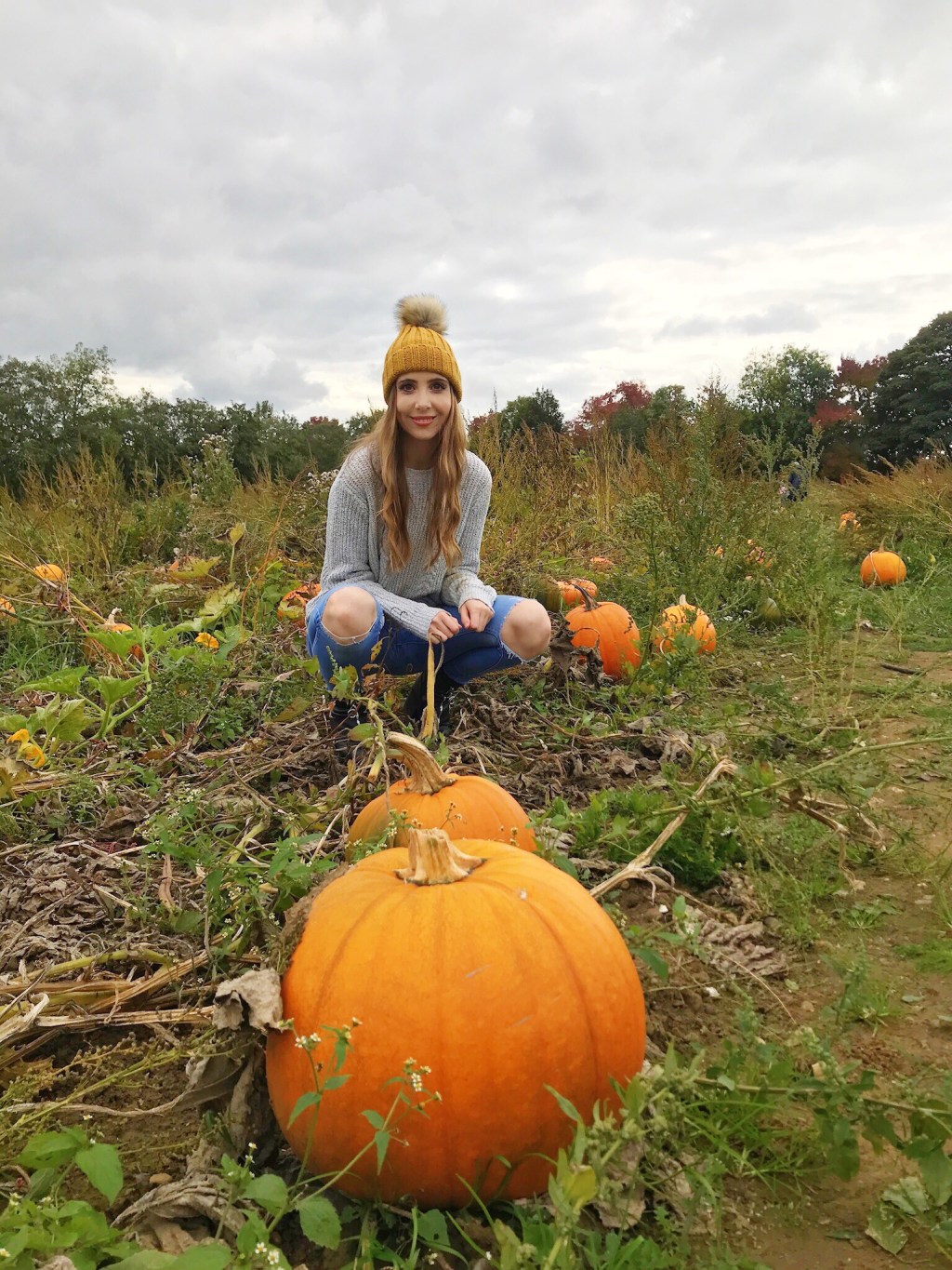 Pumpkin Picking