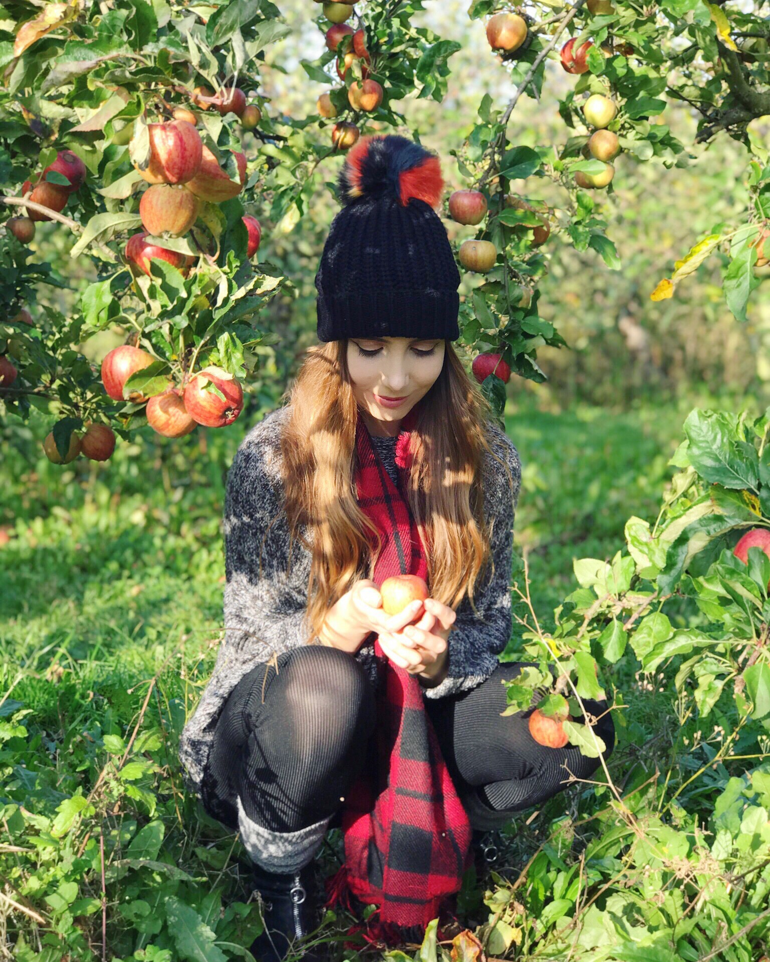 Apple Picking