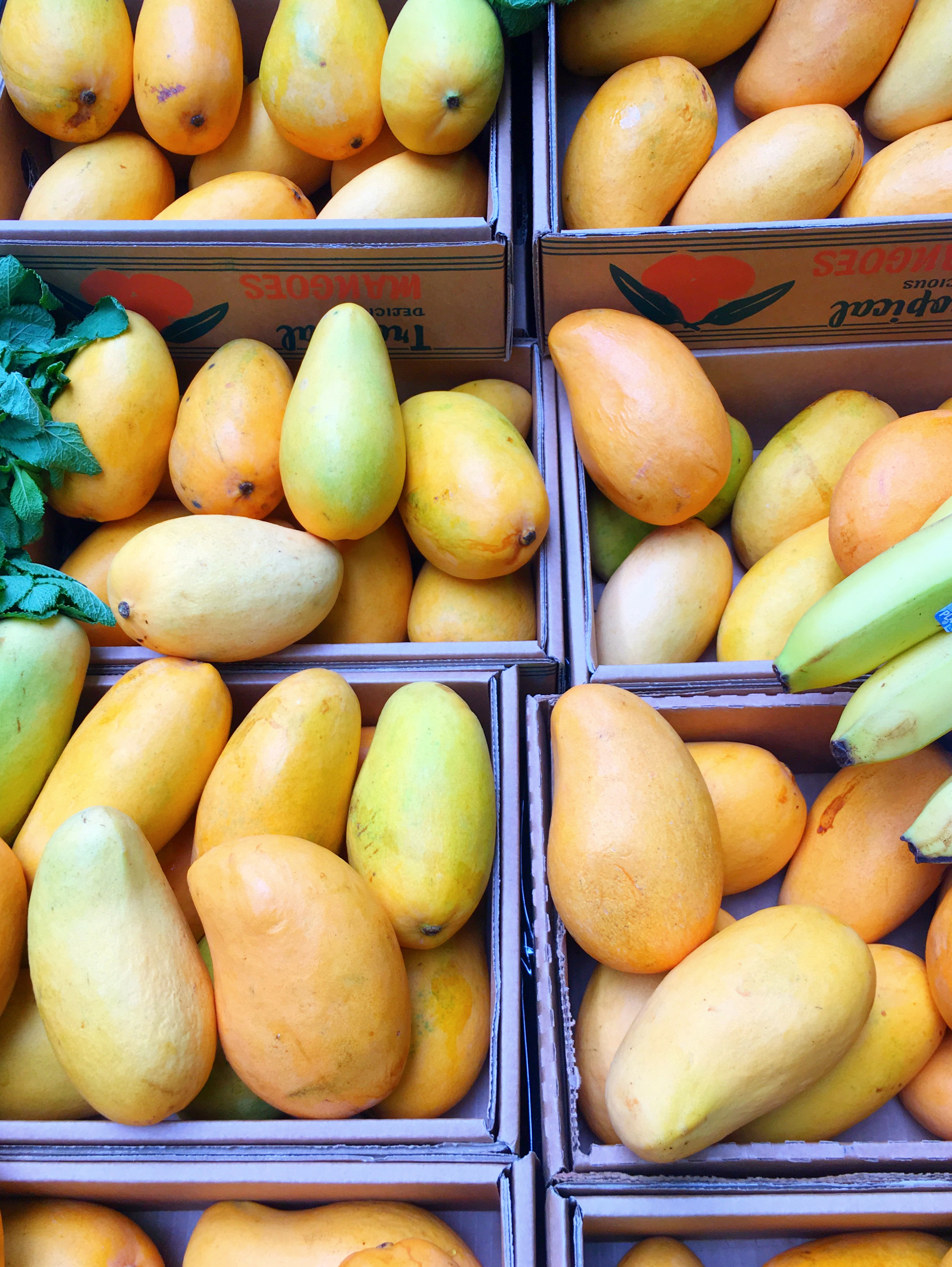 heal-your-body-naturally