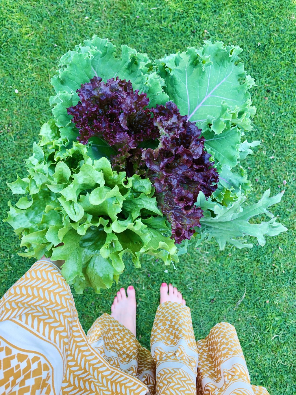 My Thoughts On Self-Sufficiency