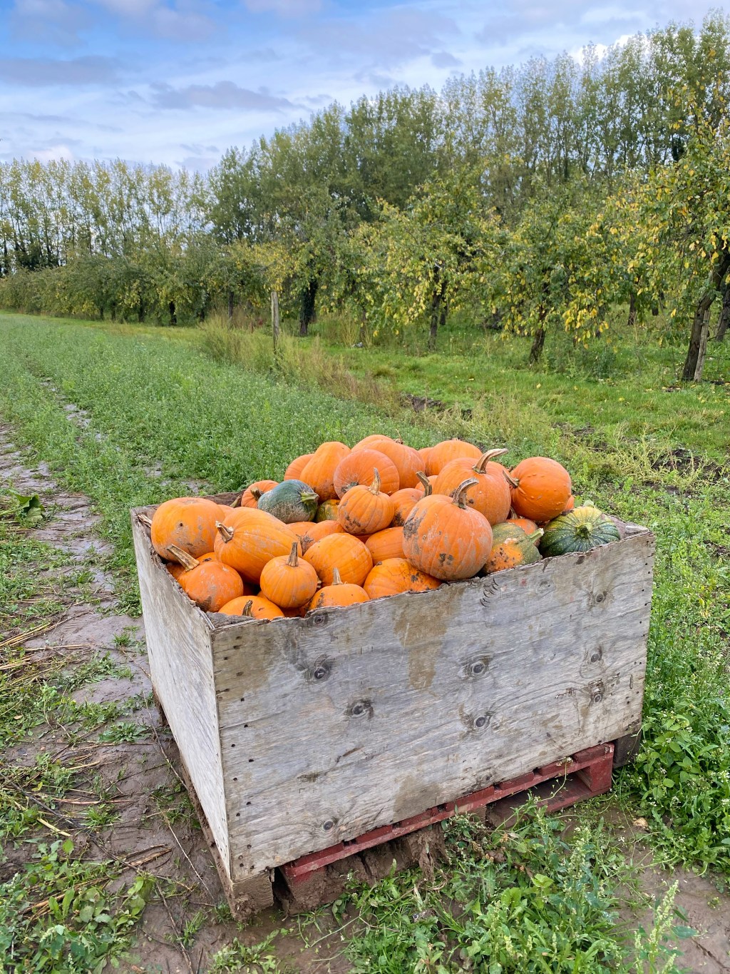 Reflecting On 2020: A Year Of Ups And Downs