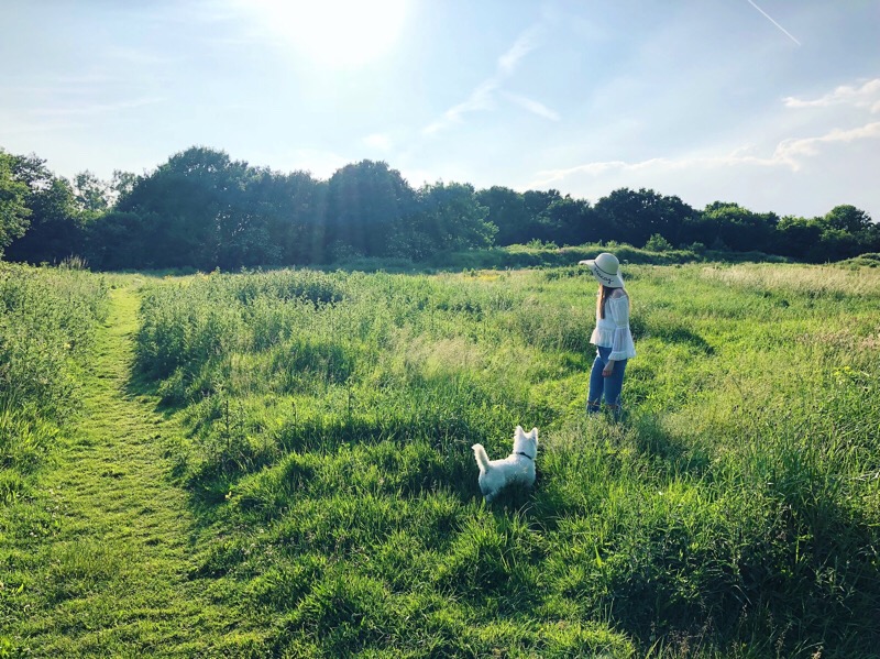 Walking with Fuji-chan