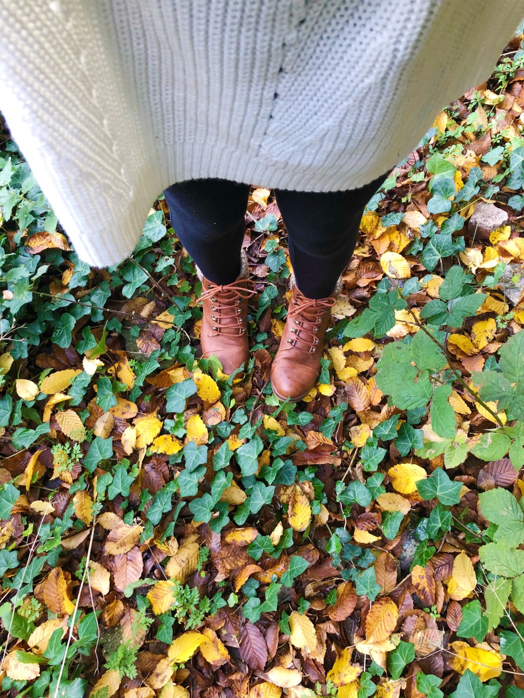 Autumn Adventures In Suffolk