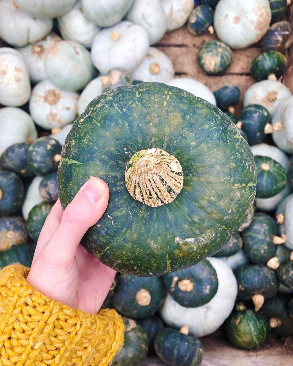 How To Cook With Kabocha Squash