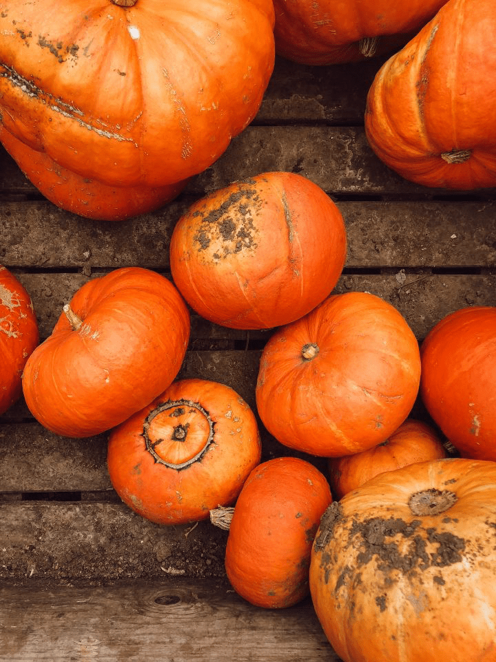 Planning A Simple, Grateful Autumn Season