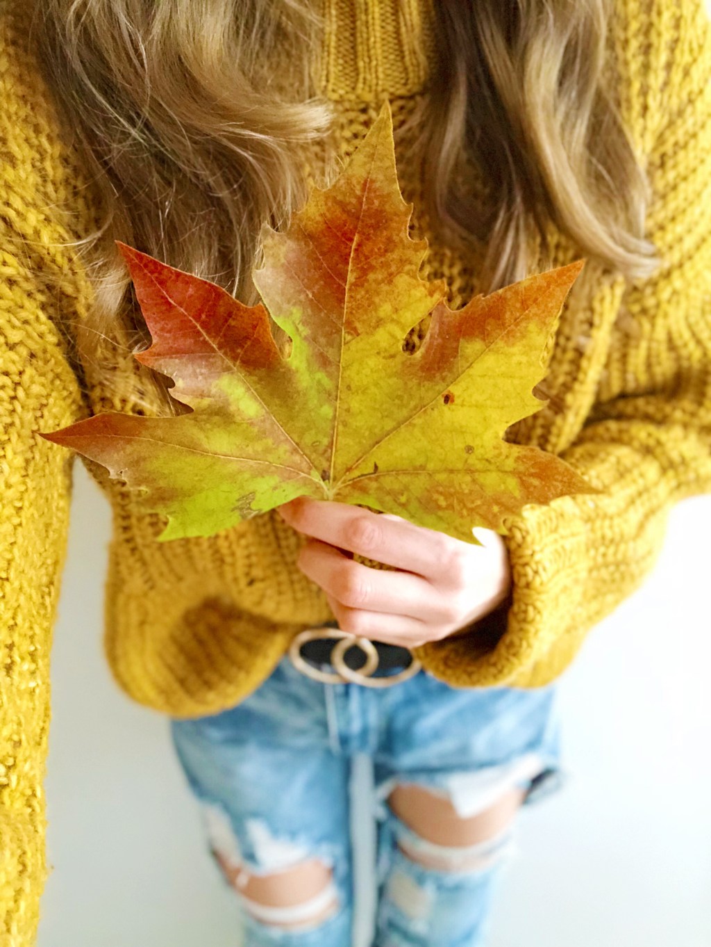 The Ultimate Autumn Bucket List