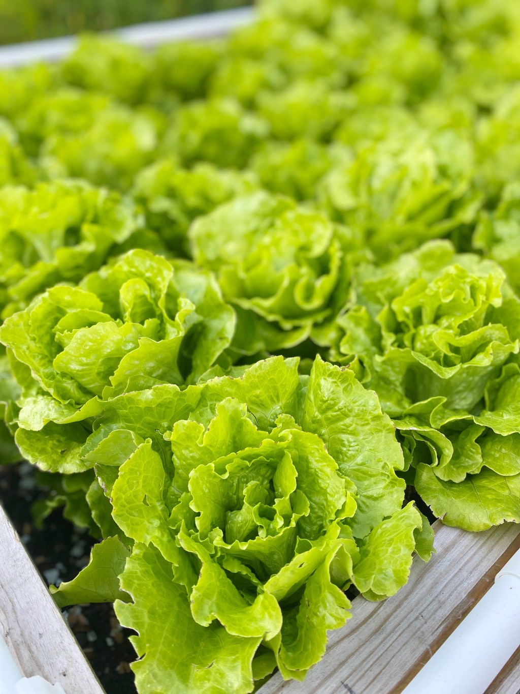 15 Journalling Prompts For Self-Reflection