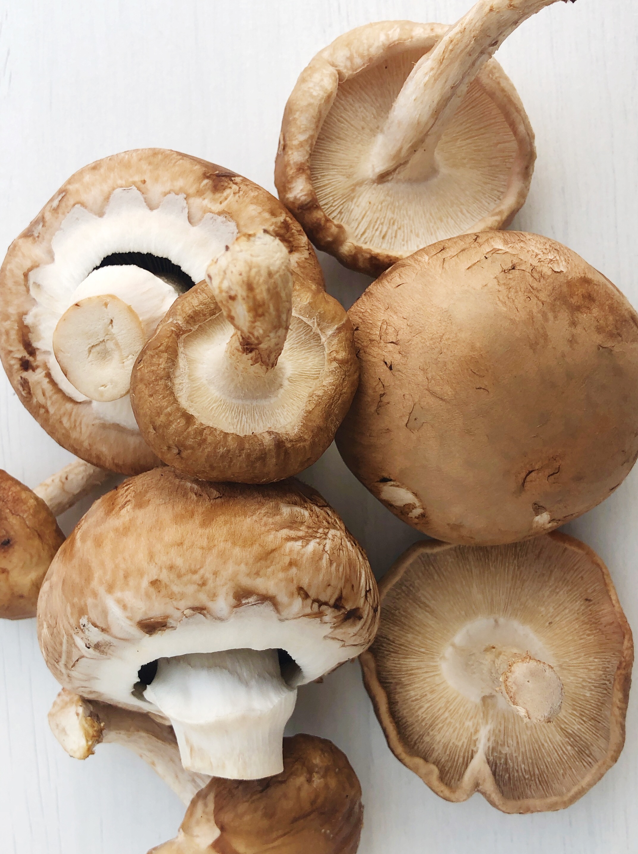 Mushroom Benefits Vegan