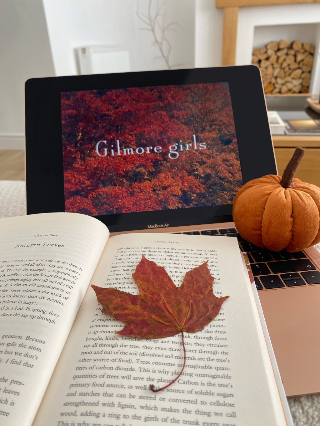 How I Romanticise The Autumn&nbsp;Months