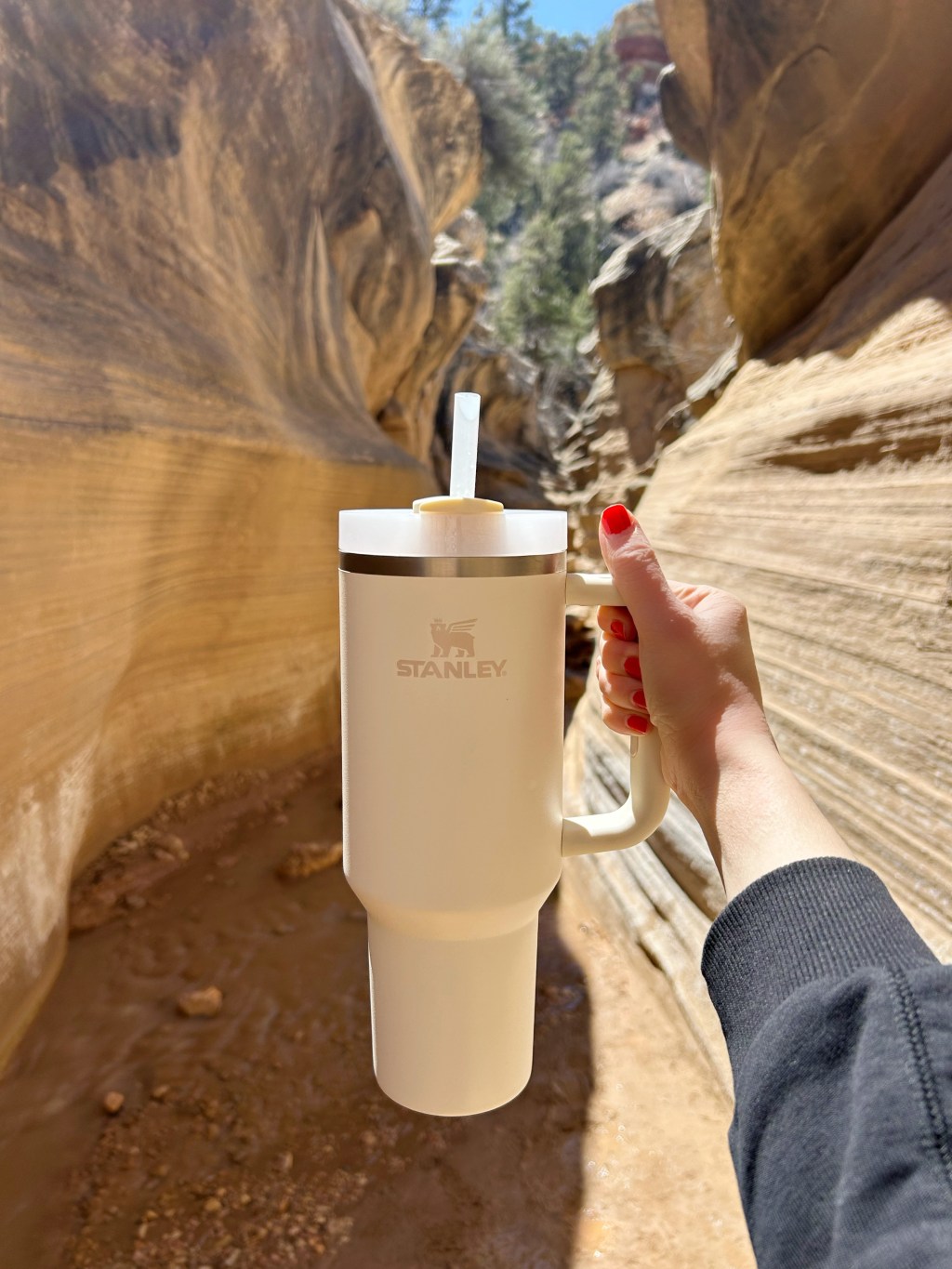 Stanley Cup Review: Is It Worth The&nbsp;Hype?