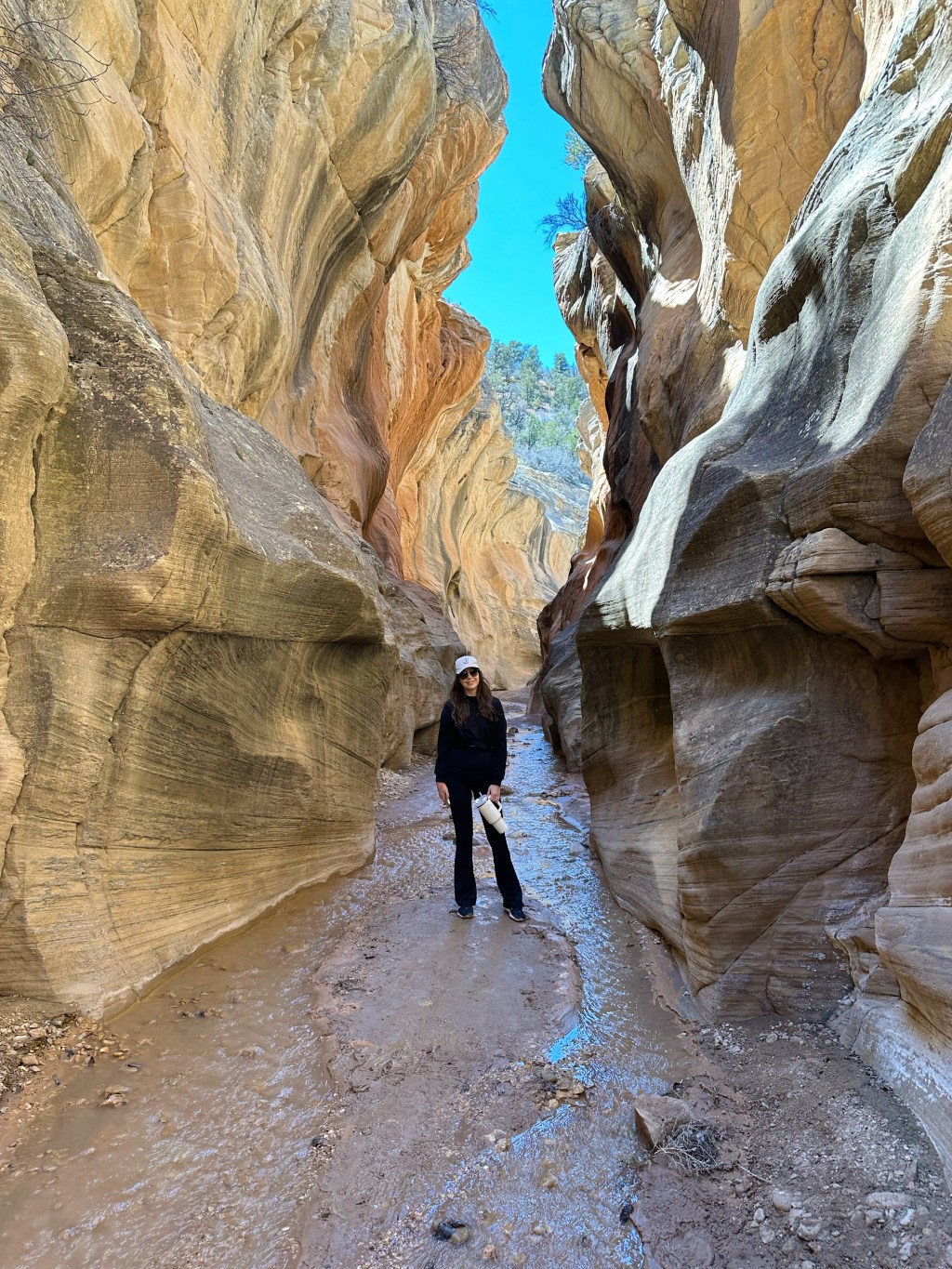 A Utah Photo&nbsp;Dump