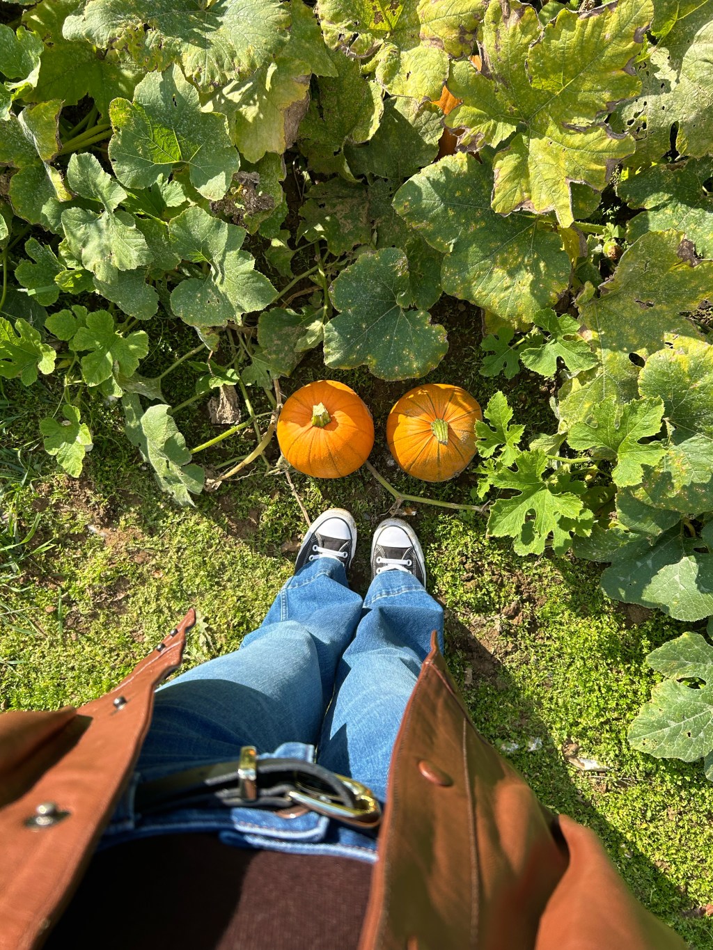 A Collection of Cosy Autumn&nbsp;Moments