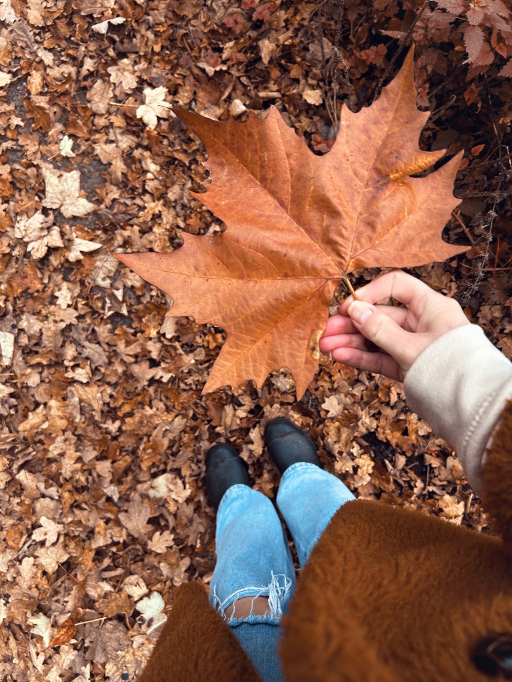 How I’m Ending 2024 With&nbsp;Purpose