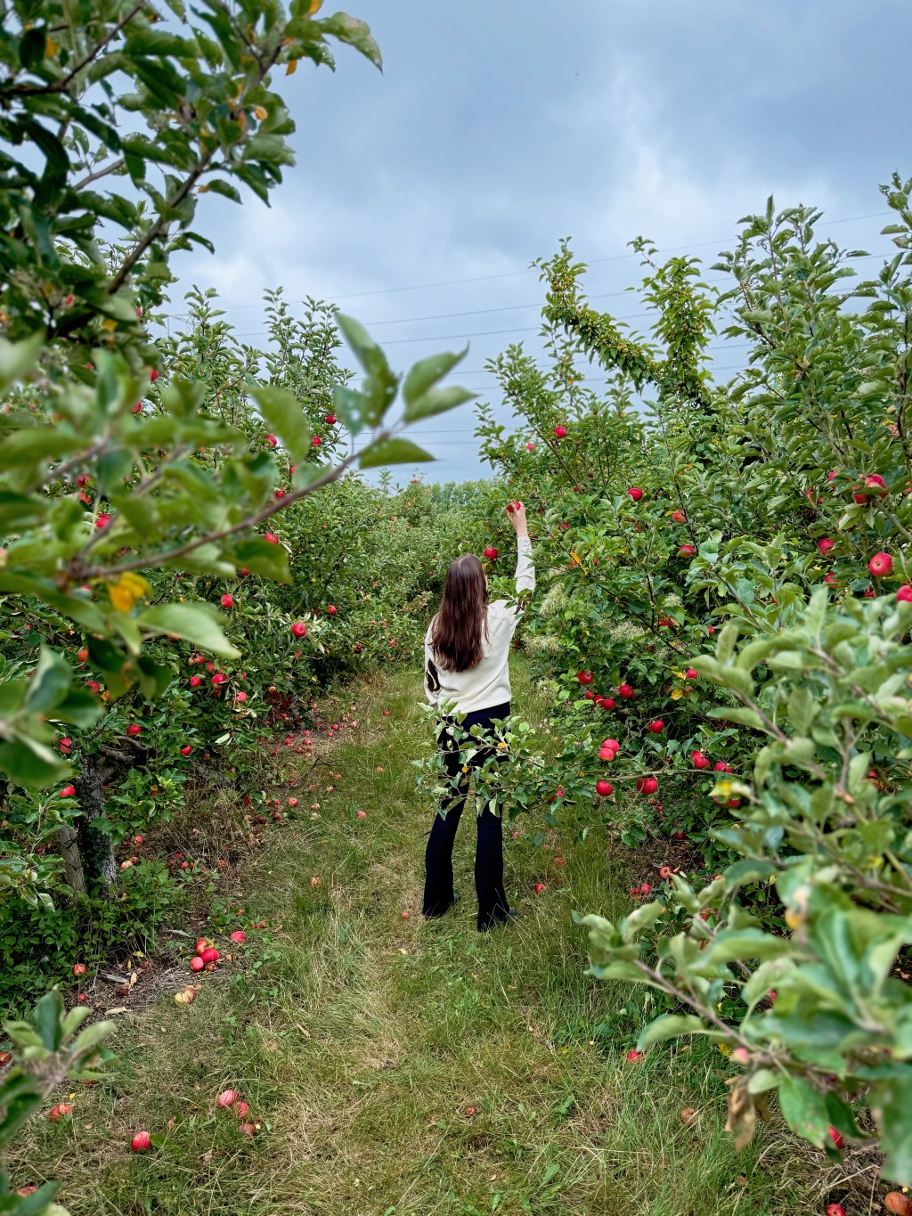 6 Ways I’m Preparing For&nbsp;Autumn