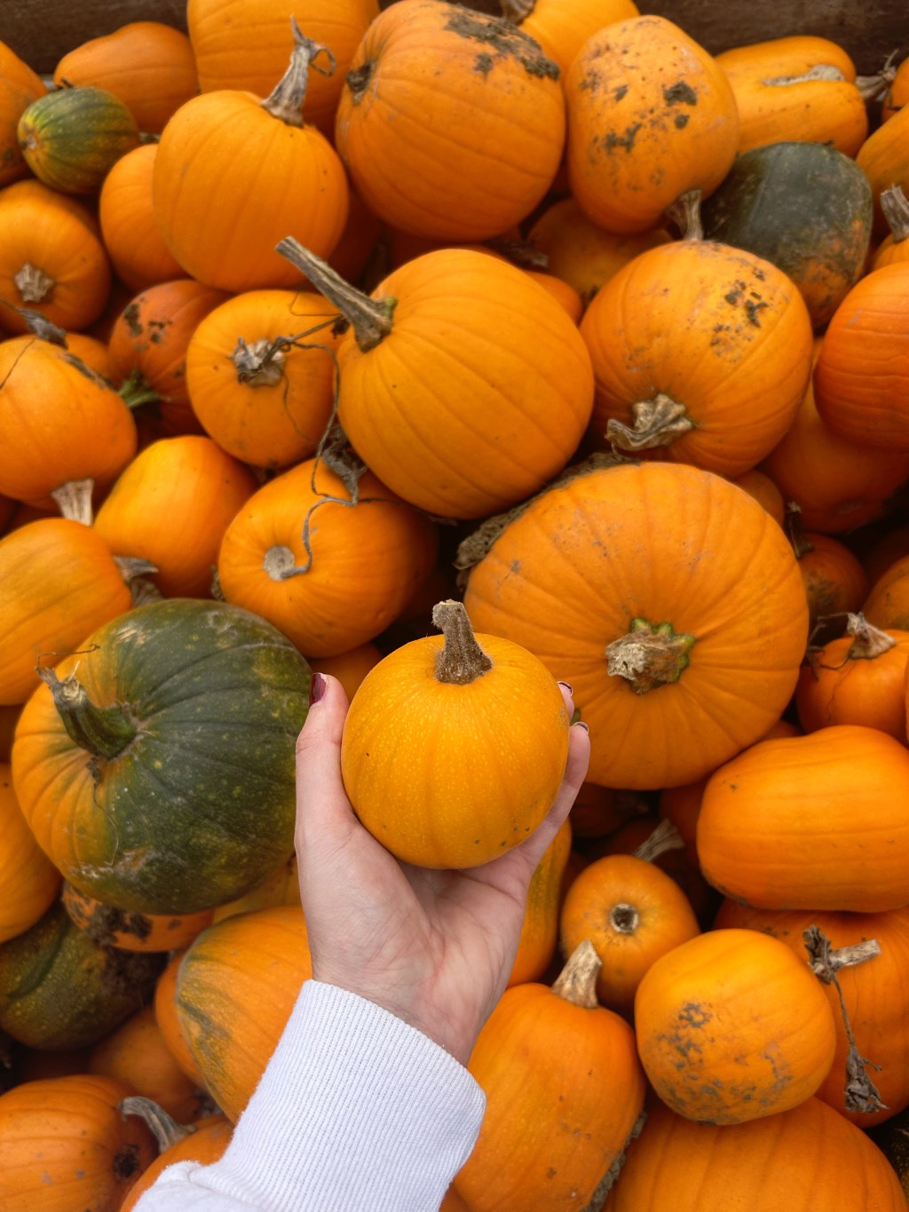 In A World Where There Are&nbsp;Octobers