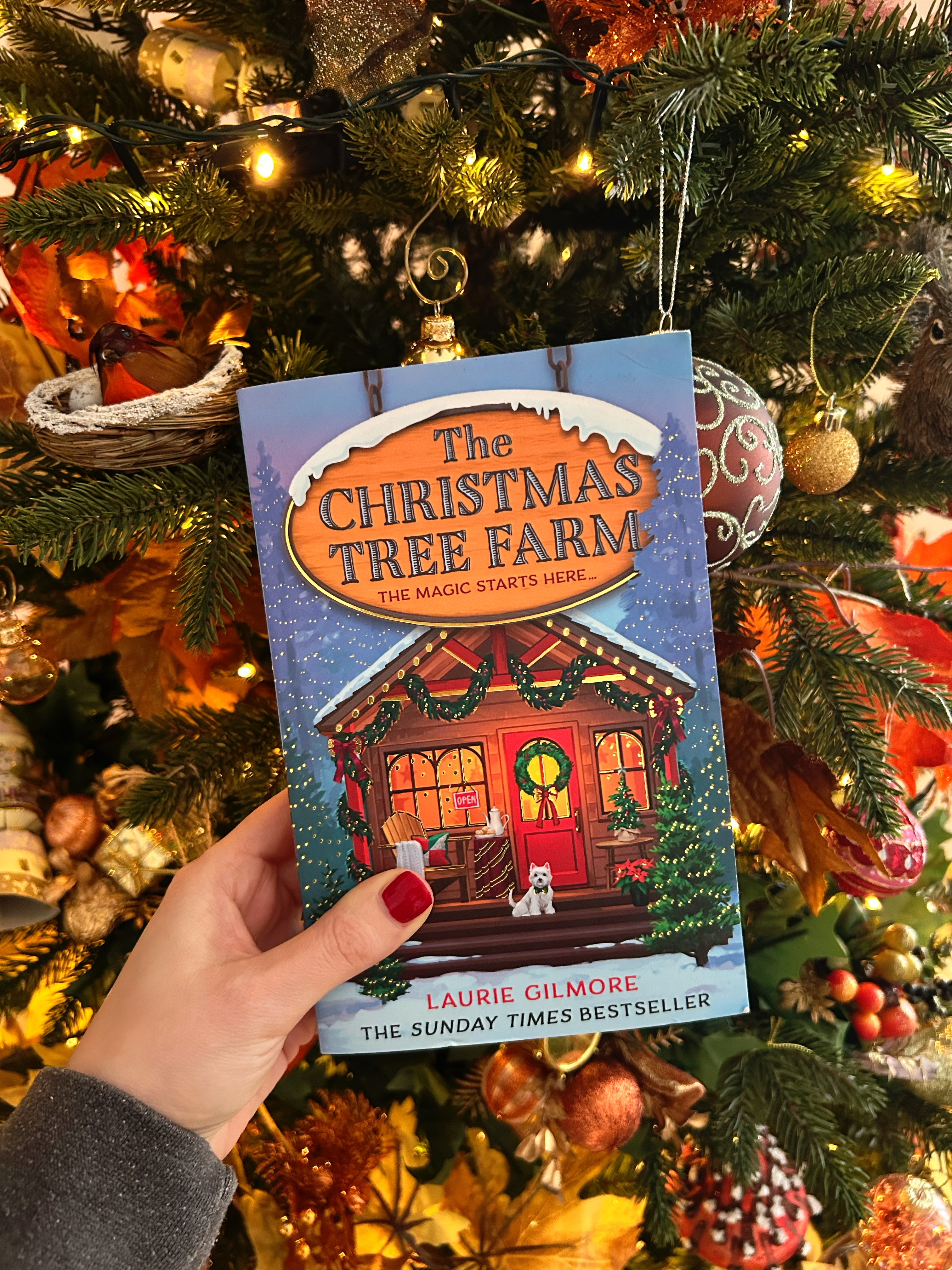 decorate-for-christmas-on-a-budget