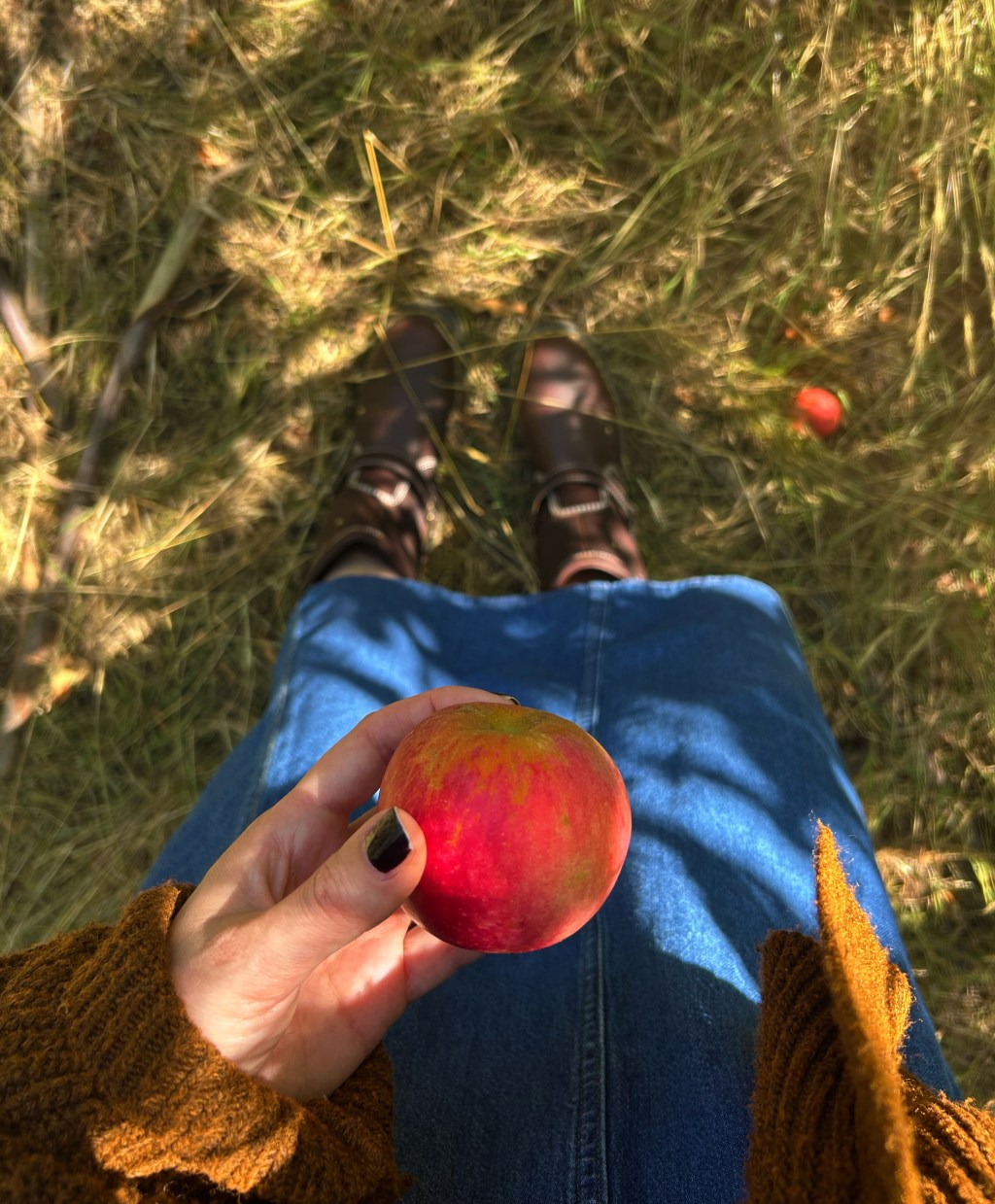 Autumn Is Coming
